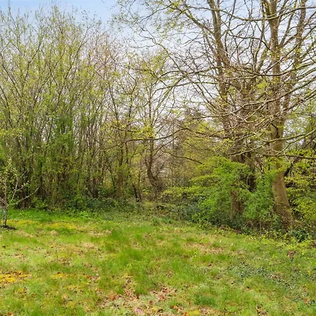 Prázdninový dům Avni - 300m From The Sea By Interhome *